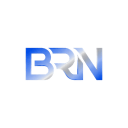 BRN Cybernetics